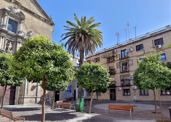 Sunshine Vista Al Compas